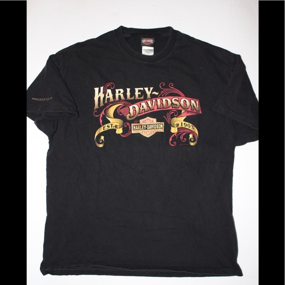 Harley-Davidson Other - 2010 Harley Davidson t shirt